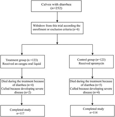 Cangpu Oral Liquid as a Possible Alternative to Antibiotics for the Control of Undifferentiated Calf Diarrhea